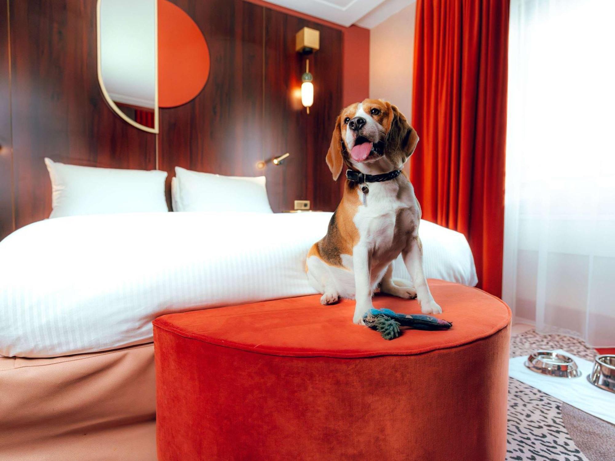 Nest Paris La Defense - Mgallery Puteaux Exteriör bild A dog in a hotel room